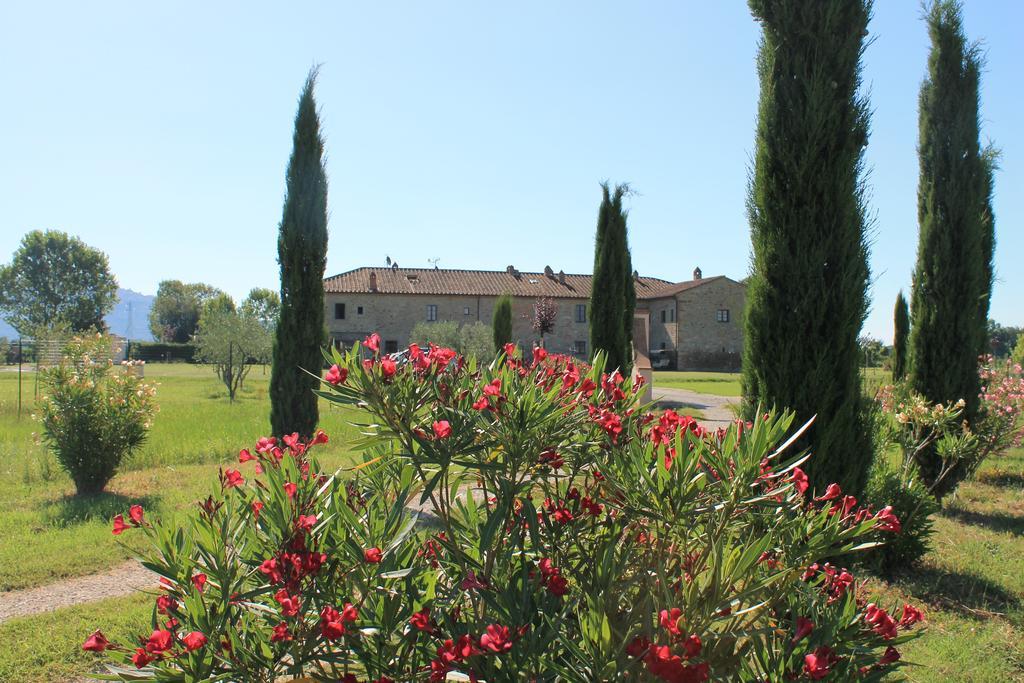 Il Grifone A Cortona Residence Bagian luar foto
