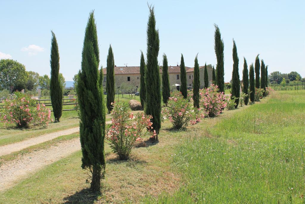 Il Grifone A Cortona Residence Bagian luar foto