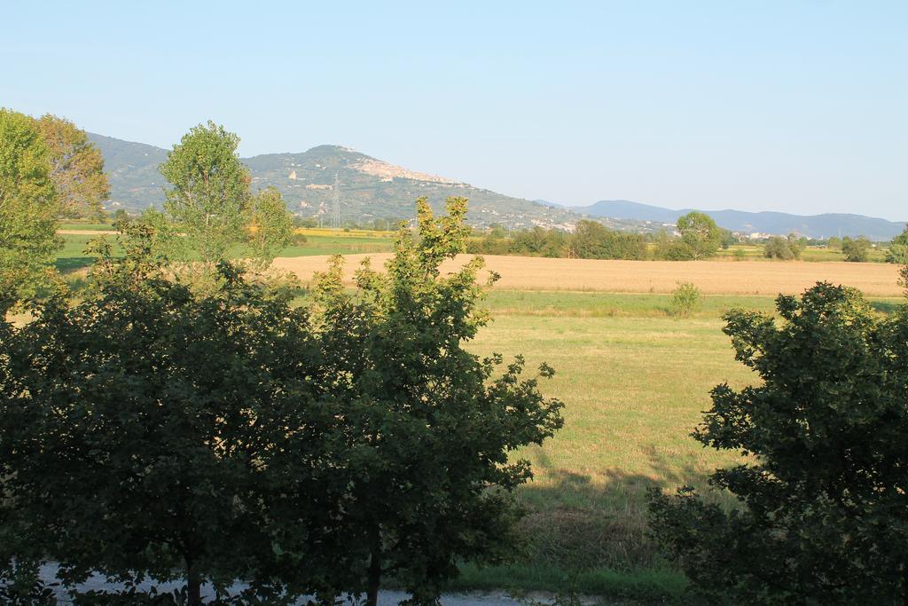 Il Grifone A Cortona Residence Bagian luar foto