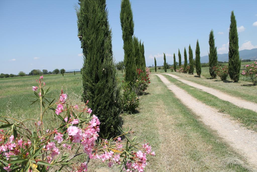 Il Grifone A Cortona Residence Bagian luar foto