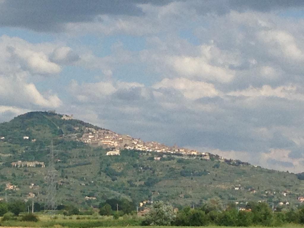 Il Grifone A Cortona Residence Bagian luar foto