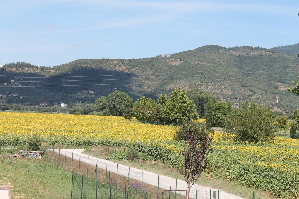 Il Grifone A Cortona Residence Bagian luar foto